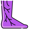 https://collective-care.com/wp-content/uploads/2025/08/icons8-varicose-veins-100.png